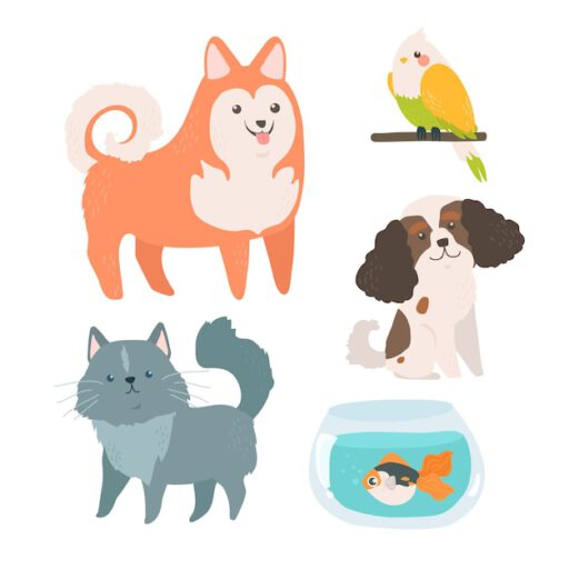 different pets concept 23 2148516415